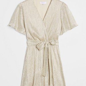 Waverly Grey Fante Shimmer Mini Dress